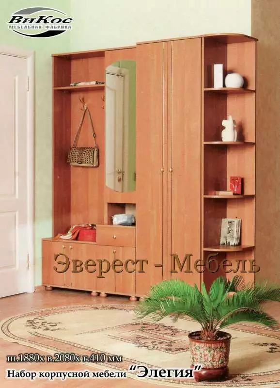 Прихожая Элегия