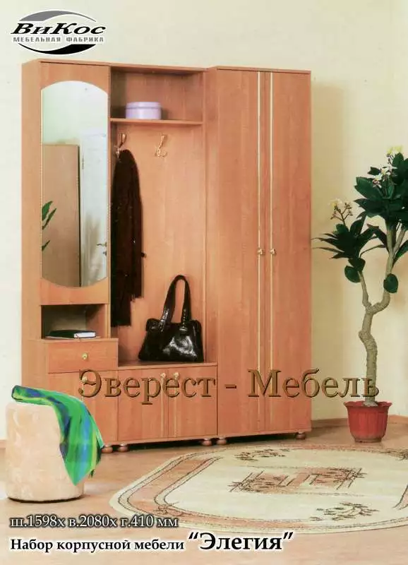 Прихожая Элегия