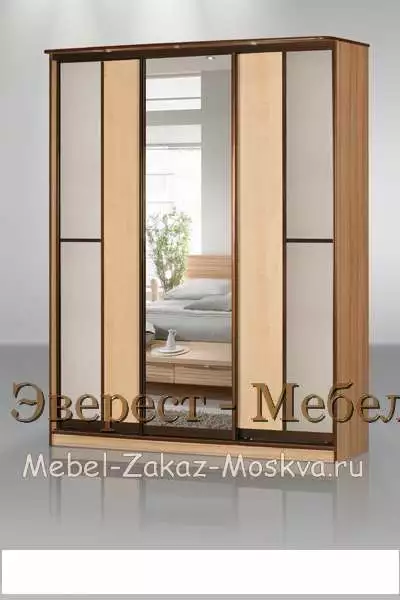 Шкаф-купе "Кальвадос-21"
