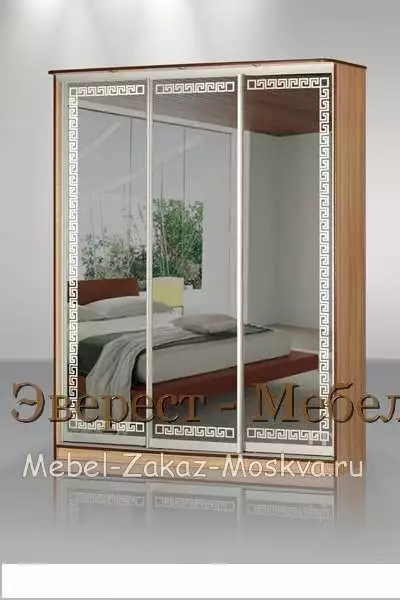 Шкаф-купе "Кальвадос-23"