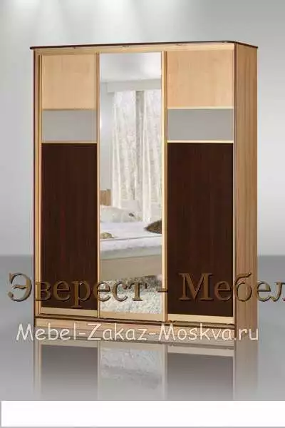 Шкаф-купе "Кальвадос-25"