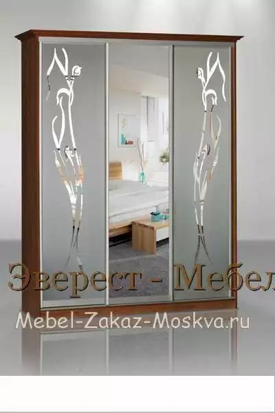 Шкаф-купе "Кальвадос-27"