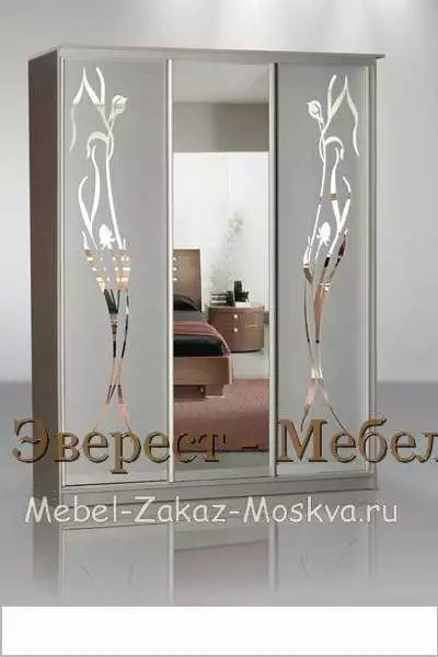 Шкаф-купе "Кальвадос-33"