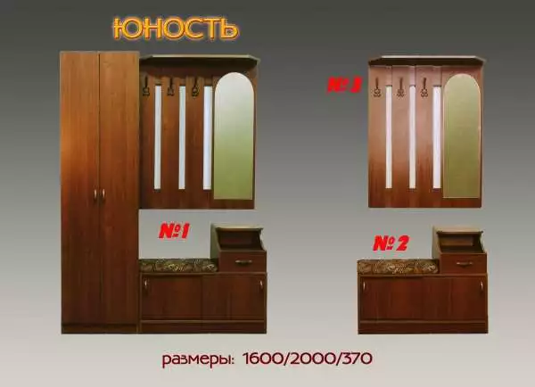 Прихожая Юность со шкафом
