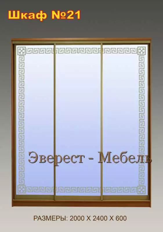 Шкаф-купе №21