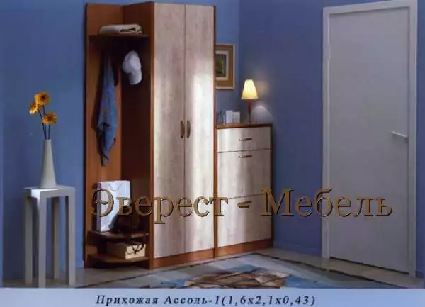 Прихожая Ассоль-1