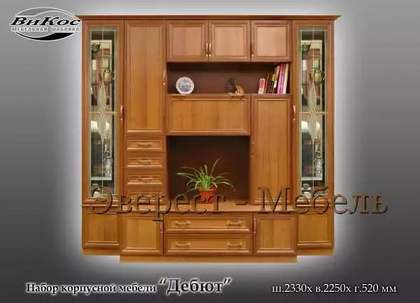 Стенка "Дебют"