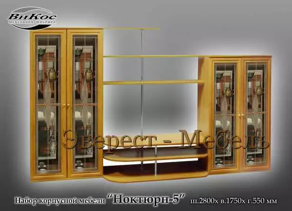 Стенка "Ноктюрн-5"